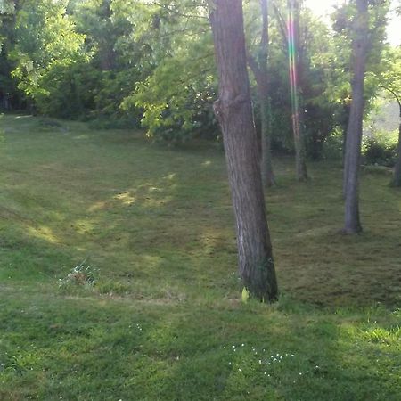 Bed And Breakfast Sile E Natura Sant'Elena di Silea エクステリア 写真