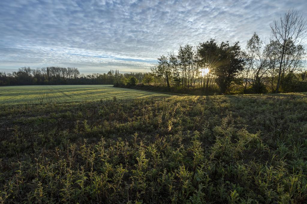 Bed And Breakfast Sile E Natura Sant'Elena di Silea エクステリア 写真