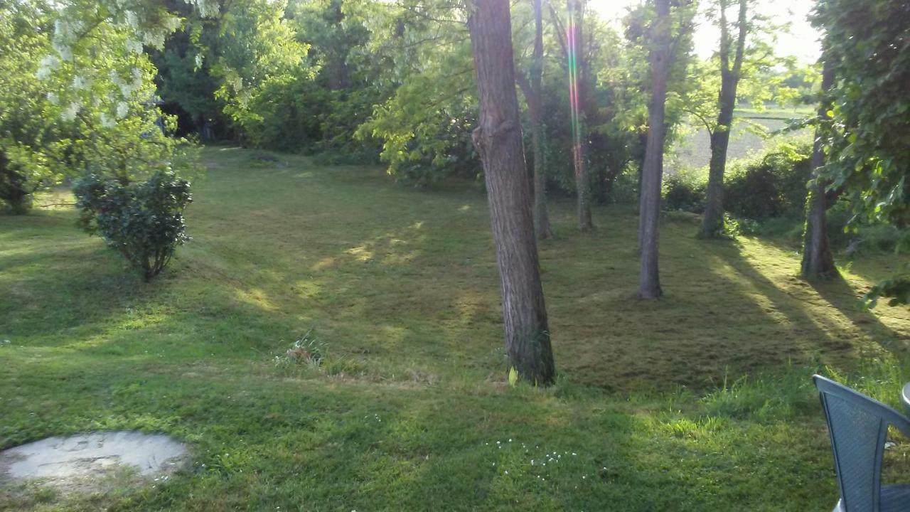 Bed And Breakfast Sile E Natura Sant'Elena di Silea エクステリア 写真